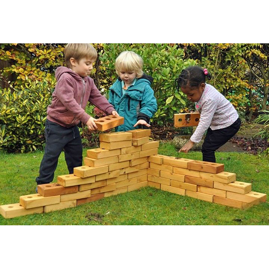 Lewis's Lightweight Softwood Bricks 60pk