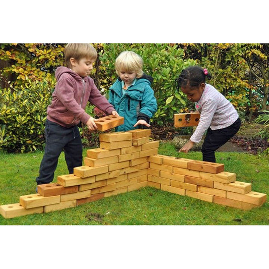 Lewis's Lightweight Softwood Bricks