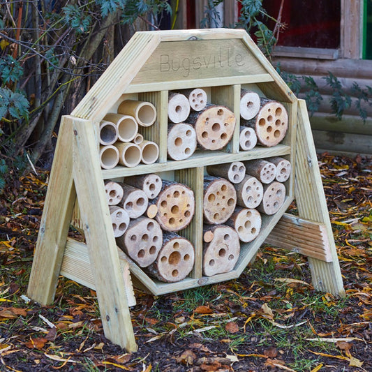 Bugsville Hive