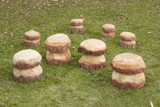 Medium Mushroom (28Pk)