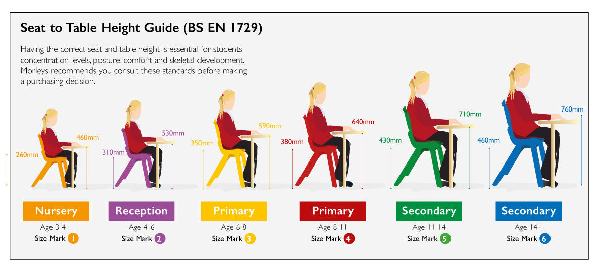 chair to table height size guide